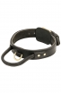 Super Durable Leather Dog Collar with Handle and Solid Brass Buckle for Easy Training