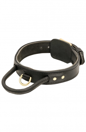 Spiked Leather Dog Collar and Braided Leash Set - Old Mill Store