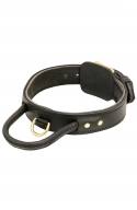 2 ply Leather Dog Collar with Handle and Solid Brass Buckle for Easy Training