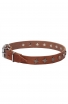 Elegant Narrow Leather Dog Collar decorated with Old Silver-like Stars