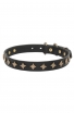 Fashion Narrow Leather Dog Collar decorated with Old-like Bronze Stars