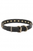 Fashion Narrow Leather Dog Collar decorated with Old-like Bronze Stars