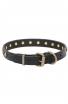 Fashion Narrow Leather Dog Collar decorated with Old-like Bronze Stars