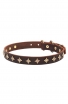 Fashion Narrow Leather Dog Collar decorated with Old-like Bronze Stars