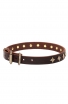 Fashion Narrow Leather Dog Collar decorated with Old-like Bronze Stars