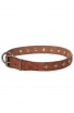 Fashion Narrow Leather Dog Collar decorated with Old-like Bronze Stars