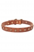 Fashion Narrow Leather Dog Collar decorated with Old-like Bronze Stars