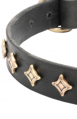 Fashion Narrow Leather Dog Collar decorated with Old-like Bronze Stars