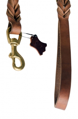 Professional Stitched Leash with D-Ring on the Handle
