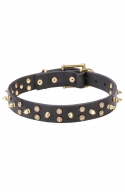Spiked Leather Dog Collar "Golden Star" with 3 Rows of Brass Spikes