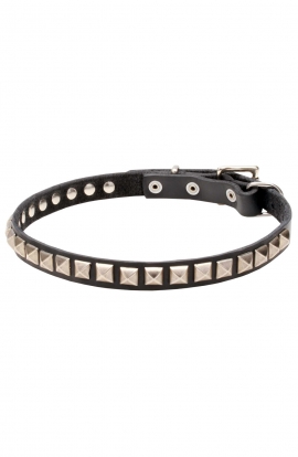 Designer Leather Dog Collar "Iron Snake" with 1 Row Nickel Studs