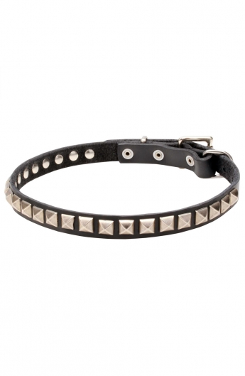 Designer Leather Dog Collar "Iron Snake" with 1 Row Nickel Studs