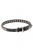 Designer Leather Dog Collar "Iron Snake" with 1 Row Nickel Studs