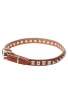 Designer Leather Dog Collar "Iron Snake" with 1 Row Nickel Studs