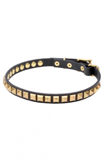 Artisan Leather Dog Collar with 1 Row Brass Studs - Golden Snake