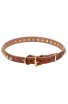 Artisan Leather Dog Collar with 1 Row Brass Studs - Golden Snake