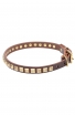 Artisan Leather Dog Collar with 1 Row Brass Studs - Golden Snake