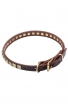 Artisan Leather Dog Collar with 1 Row Brass Studs - Golden Snake