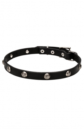 Narrow Leather Dog Collar with 1 Row Nickel Studs - Iron Flower