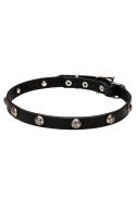 Narrow Leather Dog Collar "Iron Flower" with 1 Row Nickel Studs