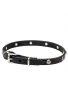 Narrow Leather Dog Collar with 1 Row Nickel Studs - Iron Flower