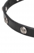 Narrow Leather Dog Collar with 1 Row Nickel Studs - Iron Flower