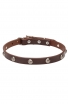 Narrow Leather Dog Collar with 1 Row Nickel Studs - Iron Flower