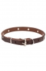 Narrow Leather Dog Collar with 1 Row Nickel Studs - Iron Flower