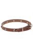 Narrow Leather Dog Collar with 1 Row Nickel Studs - Iron Flower