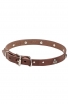 Narrow Leather Dog Collar with 1 Row Nickel Studs - Iron Flower