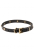 Narrow Leather Dog Collar with 1 Row Brass Studs Golden Flower