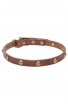 Narrow Leather Dog Collar with 1 Row Brass Studs Golden Flower