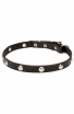 Extra Soft Leather Dog Collar with 1 Row Nickel Studs