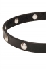 Extra Soft Leather Dog Collar with 1 Row Nickel Studs