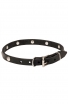 Extra Soft Leather Dog Collar with 1 Row Nickel Studs