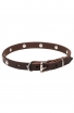 Extra Soft Leather Dog Collar with 1 Row Nickel Studs