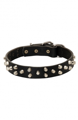 Fancy Design Leather Dog Collar with Nickel Pyramids