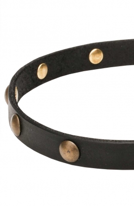 Extra Soft Narrow Leather Dog Collar with 1 Row Brass Studs