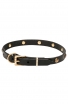 Extra Soft Narrow Leather Dog Collar with 1 Row Brass Studs