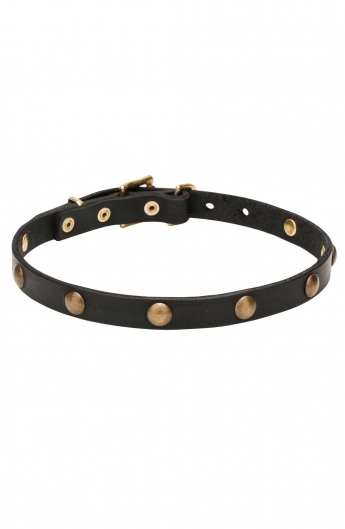 Extra Soft Narrow Leather Dog Collar with 1 Row Brass Studs