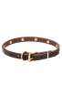 Extra Soft Narrow Leather Dog Collar with 1 Row Brass Studs