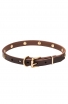 Extra Soft Narrow Leather Dog Collar with 1 Row Brass Studs