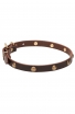 Extra Soft Narrow Leather Dog Collar with 1 Row Brass Studs