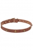 Extra Soft Narrow Leather Dog Collar with 1 Row Brass Studs