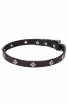 Narrow Leather Dog Collar with a Rows of Silver-like Dotted Pyramids