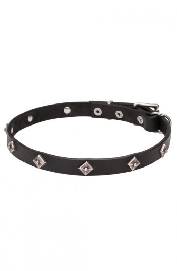 Narrow Leather Dog Collar with a Rows of Silver-like Dotted Pyramids