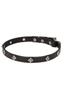 Narrow Leather Dog Collar with a Rows of Silver-like Dotted Pyramids