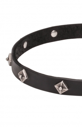 Narrow Leather Dog Collar with a Rows of Silver-like Dotted Pyramids