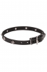 Narrow Leather Dog Collar with a Rows of Silver-like Dotted Pyramids