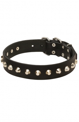 Studded Leather Dog Collar with Nickel-Plated Pyramids